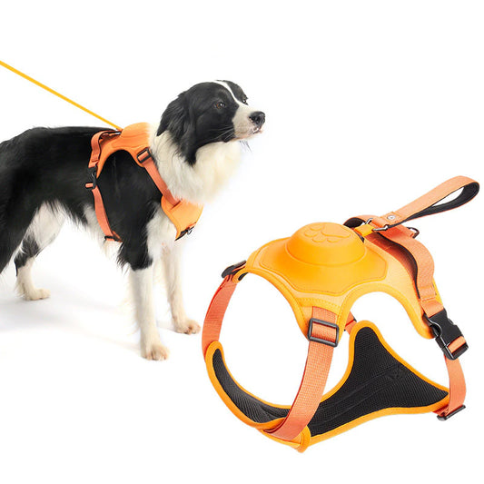 "Ultimate Comfort and Control: 2023 Retractable Dog Leash and No-Pull Harness Set - Experience the Perfect Fit and Ease of Walking with Your Pup!"